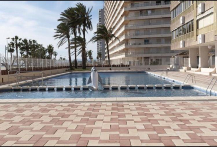 1A Linea Con Piscina Nuevo Apartment Cullera Ngoại thất bức ảnh